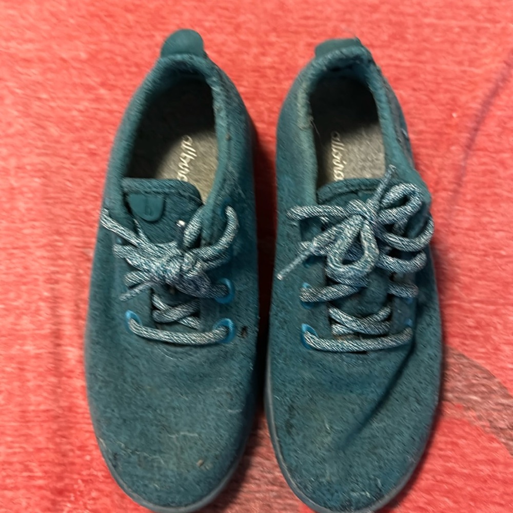 All Birds sneakers